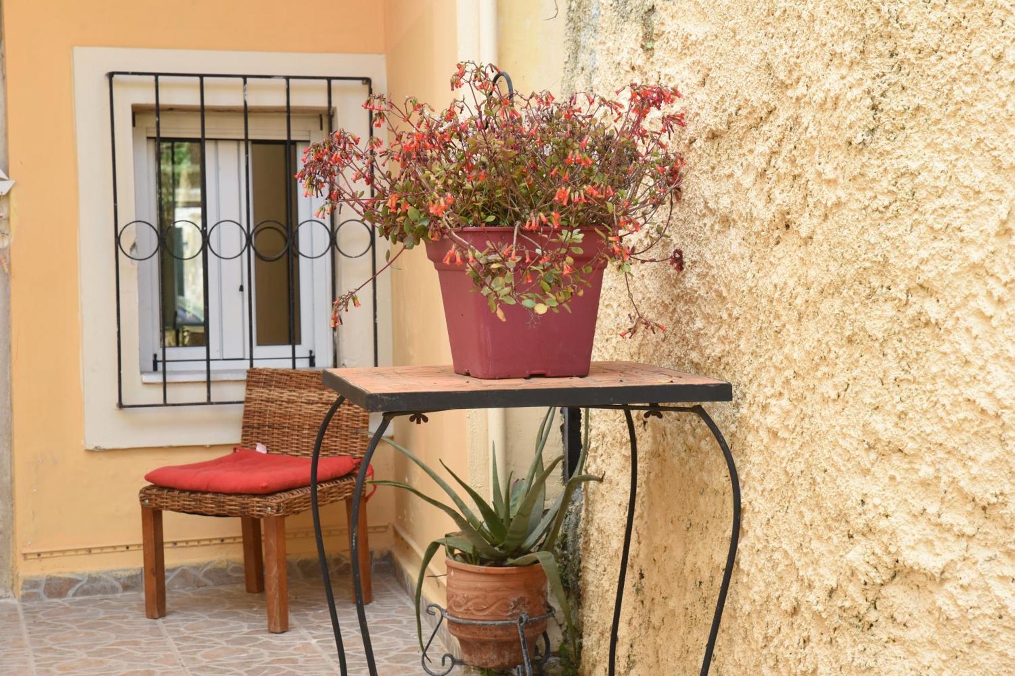 Villa Maxim In Corfu Town Anemomylos Экстерьер фото